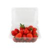 29447 Fresas AMA 2 Fresas