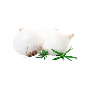Cebolla Blanca