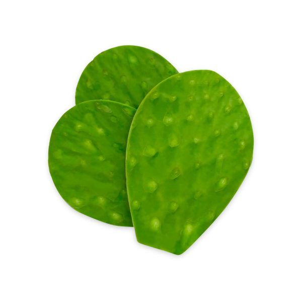 29321-Nopal-mediano-1 Nopal Mediano