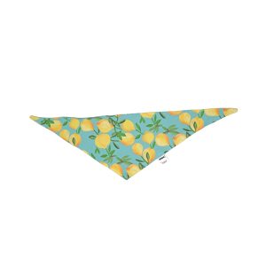 Bandana para Mascota con Diseños de Primavera