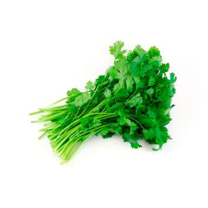 Cilantro en Manojo