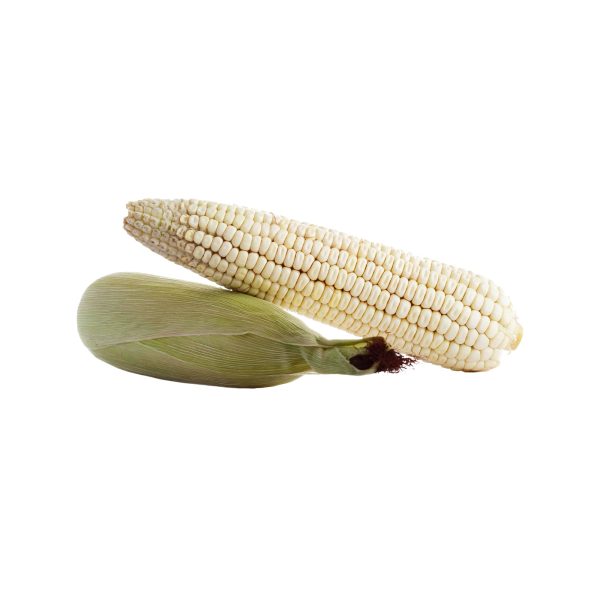 Elote Blanco