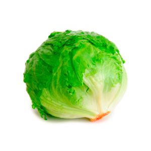 Lechuga Romana