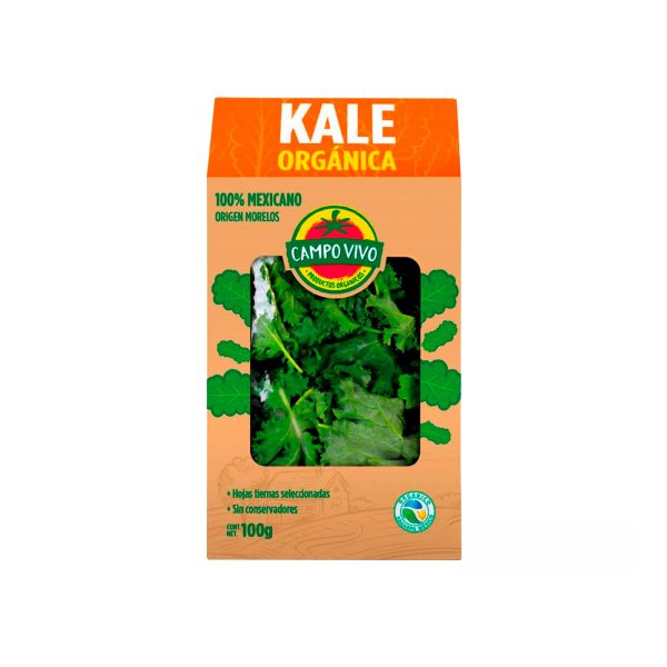 Ensalada Kale Orgánica Campo Vivo