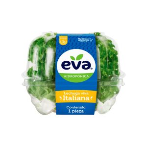 Lechuga Italiana Hidropónica EVA