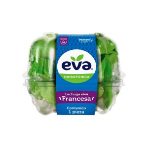 Lechuga Francesa Hidropónica EVA