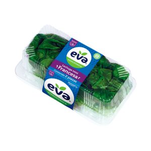 Lechuga Mini Francesa Hidropónica EVA