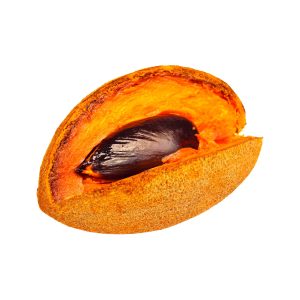Mamey Agroecológico