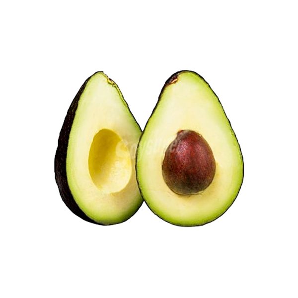 Aguacate Criollo Agroecológico