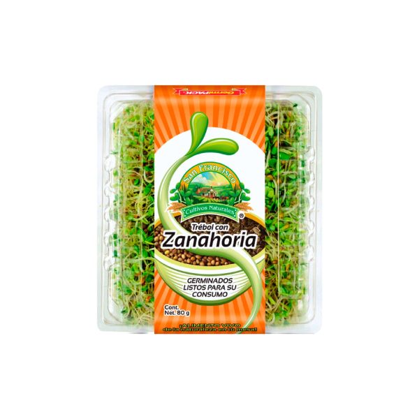 Germinado Trébol Zanahoria San Francisco