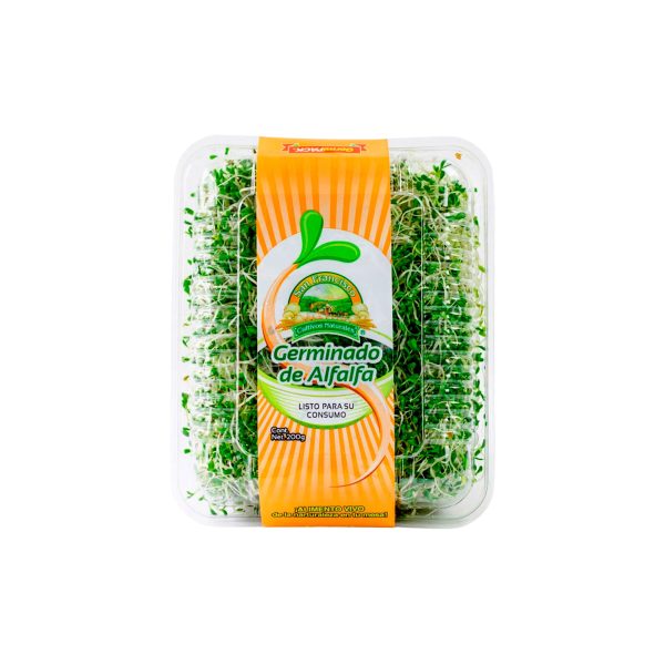 Germinado de Alfalfa San Francisco