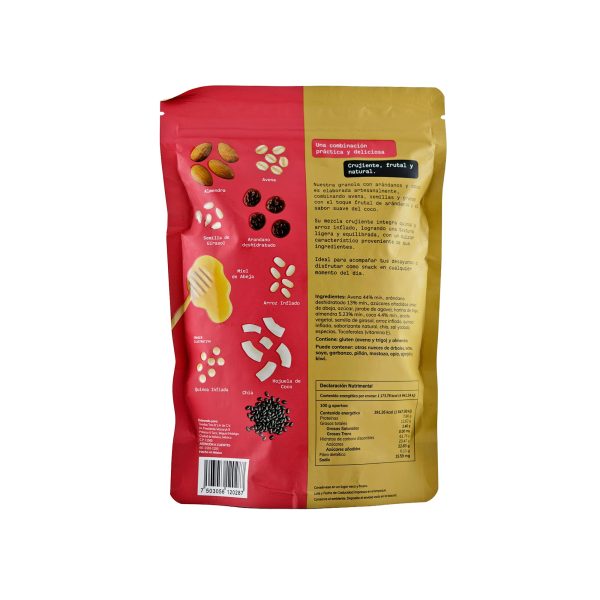 Granola Artesanal con Arándanos y Coco YEMA