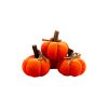 34533-kit-calabacitas-1 Kit Calabacitas Decorativas 4 Pzas Caska