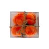 34533-kit-calabacitas-3 Kit Calabacitas Decorativas 4 Pzas Caska